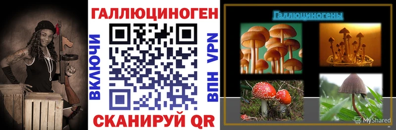Купить закладки  Себеж  Псилоцибиновые грибы Psilocybine cubensis 